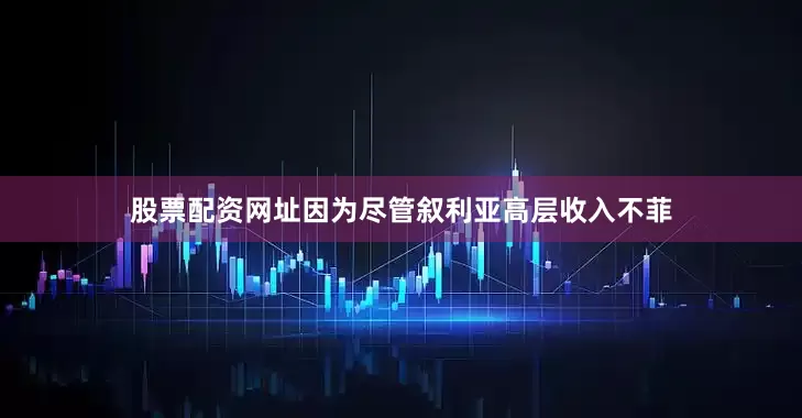 股票配资网址因为尽管叙利亚高层收入不菲