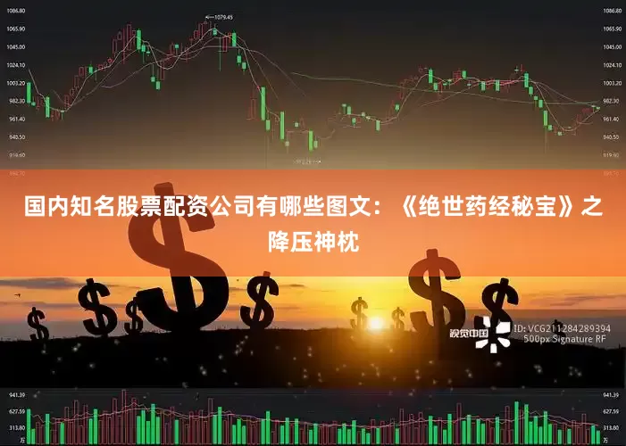 国内知名股票配资公司有哪些图文：《绝世药经秘宝》之降压神枕