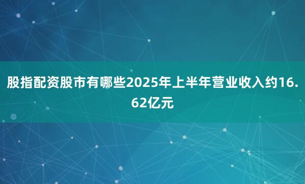 股指配资股市有哪些2025年上半年营业收入约16.62亿元