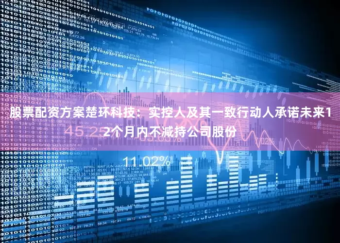 股票配资方案楚环科技：实控人及其一致行动人承诺未来12个月内不减持公司股份