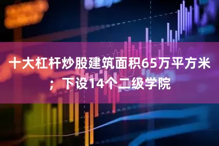 十大杠杆炒股建筑面积65万平方米；下设14个二级学院