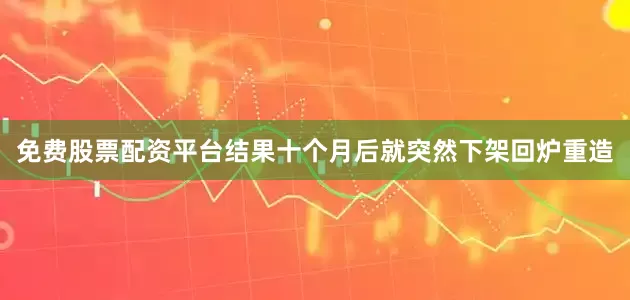 免费股票配资平台结果十个月后就突然下架回炉重造